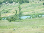 21452P1010097.JPG
