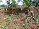 20128P1010979.JPG