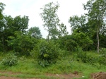 18363P1000199.JPG