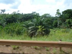 20348P1020205.JPG