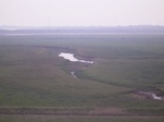 2775 100.jpg