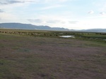 23092P1020599.JPG