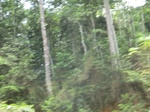 49043CIMG5380.JPG