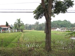 16436IMG_5221.JPG