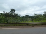 20204P1020058.JPG