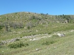 24276P1050725.JPG