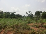 49100CIMG5437.JPG