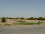 19187P1010033.JPG