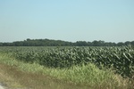2024-06-17_21-26-55_D2302EBE-38B7-4151-A2D2-73262BC78653.jpeg