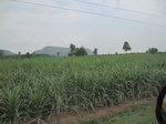 34461IMG_5444.JPG