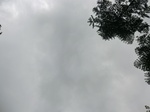 45110CIMG2195.JPG