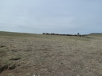 23123P1020637.JPG