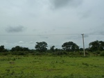 18582P1000419.JPG