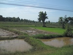 33351IMG_5691.JPG