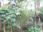 15949IMG_4500.JPG