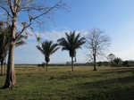 31939IMG_5668.JPG
