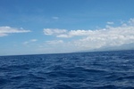5415570.jpg