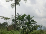 49554CIMG5891.JPG