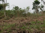 50552CIMG1181.JPG