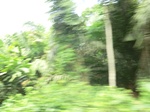 49738CIMG6075.JPG
