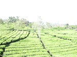 13643IMG_3904.JPG
