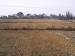3162R0017196.JPG