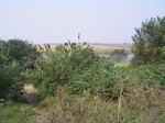 2633 209.jpg