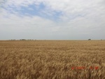 29397CIMG0631.JPG