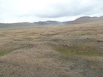 22849P1020088.JPG