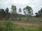 34424IMG_5407.JPG