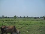 34507IMG_5490.JPG