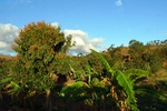 28600P1010617-1.JPG