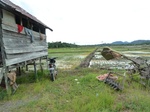 55090Berau (408).JPG