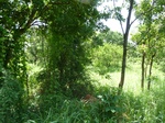 19555P1010402.JPG
