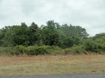 35778DSC02539.JPG