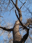 8624IMG_1249.JPG