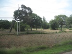 33363IMG_5703.JPG