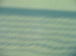 10106DSC02832.JPG
