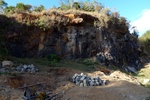 28736P1010763-1.JPG
