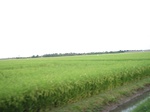 16027IMG_4759.JPG