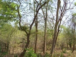 1788827042008(23).JPG