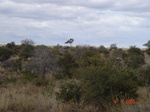 10659gt-081-wetland-seasonal-floodplain-01.jpg