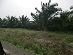 50744CIMG1373.JPG