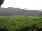 15033IMG_3846.JPG