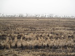 8521IMG_0347.JPG