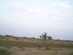 481002052008(109).JPG