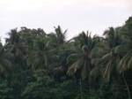 543410052008(55).JPG