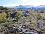 43102DSC00346.JPG