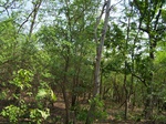 17407100_2093.JPG