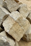 28643P1010660-1.JPG